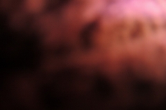 DSCN4908