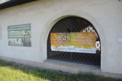 DSCN1824