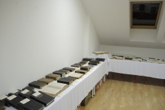 DSCN5074