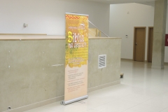 DSCN5083